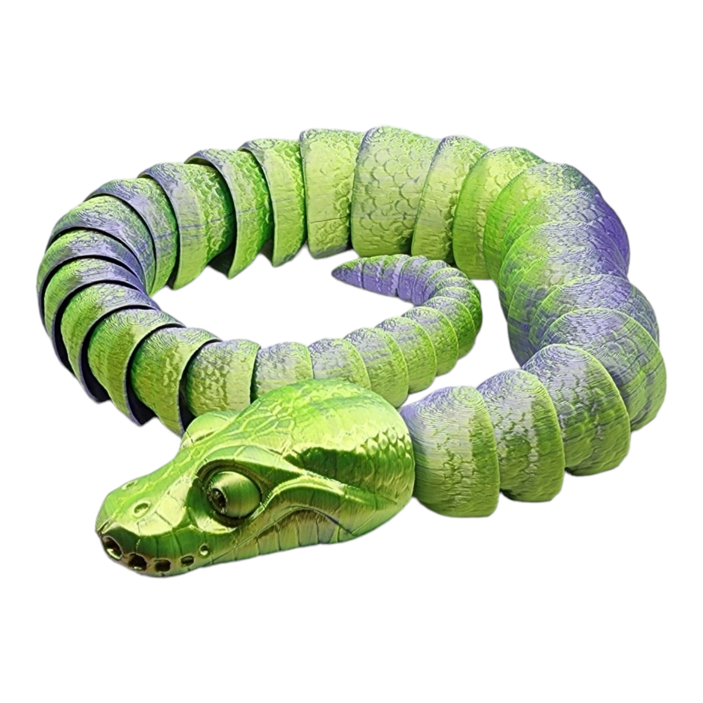 Ball Python 3-D Print