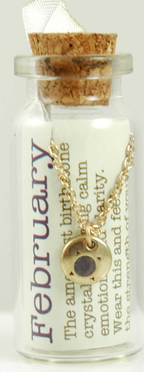 Lucky Feather February Birthstone Bottle Necklace
